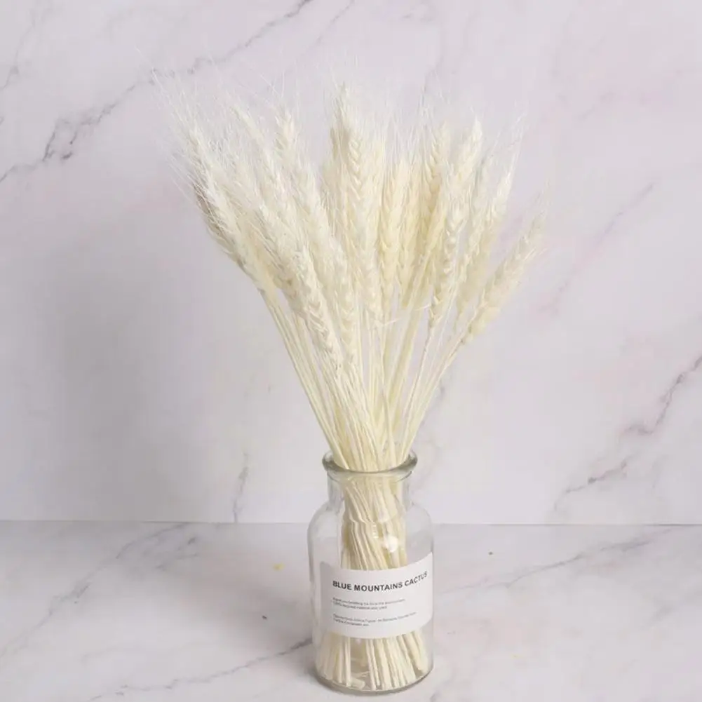 25 шт. разноцветные Натуральные сушеные цветы букет украшение пшеницы новинка