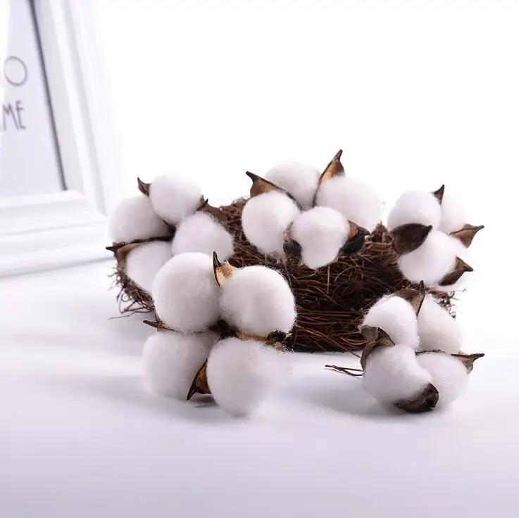 Натуральный сушеный хлопок домашнее свадебное украшение Поделочные цветы