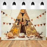 room tent cake newborn baby birthday party photography backdrop photographic background for photo studio vinyl photophone shoot