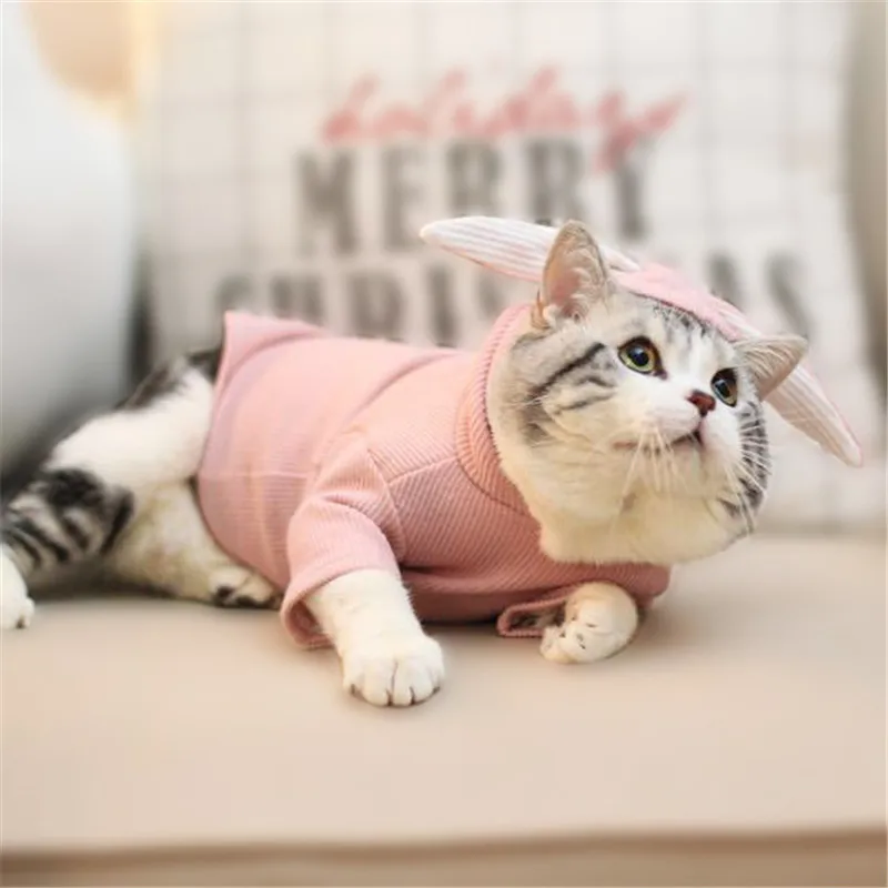 Милые костюмы для кошек зимняя теплая одежда маленьких и собак милый кролик в