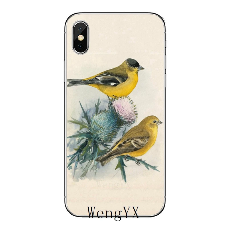 Аксессуары для телефона с акварельным рисунком птиц чехол iPhone 11 Pro XS Max XR X 8 7 6 6S Plus 5