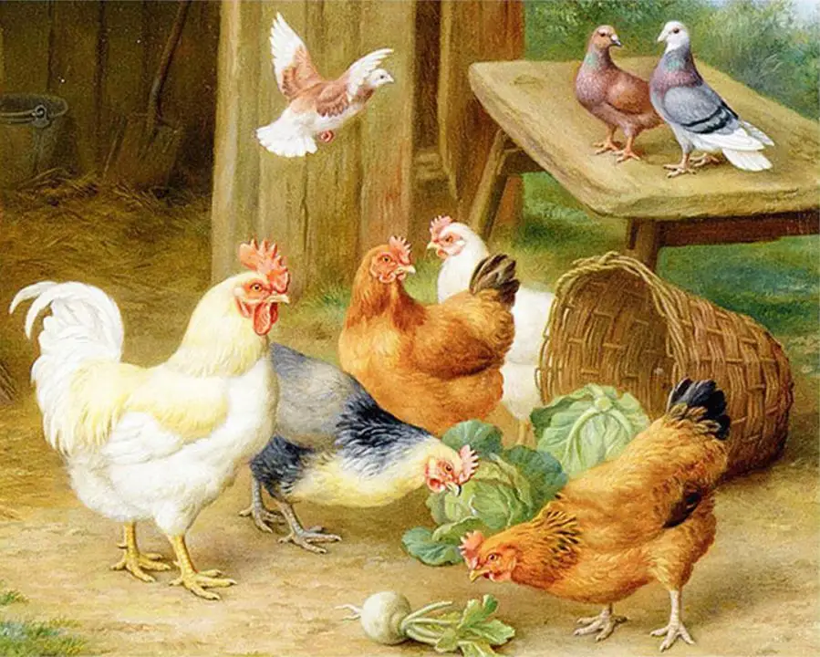 

5D DIY full Square drill diamond chicken Cross stitch Rhinestones Diamond drawing embroidery Mosaic home decor gift