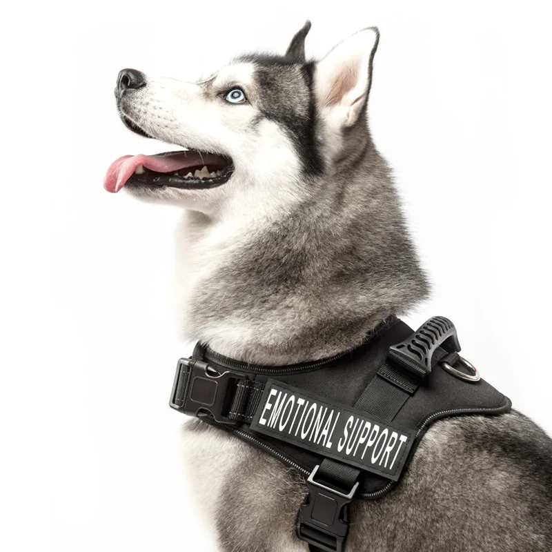 Шлейка жилет светоотражающая дышащая шлейка для средних и больших собак