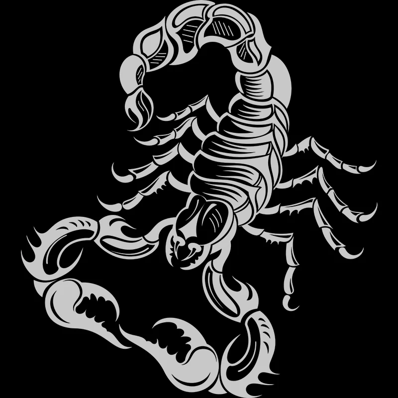 RuleMylife Fierce Scorpion Vinyl автомобильные наклейки с животными для ноутбука настенная