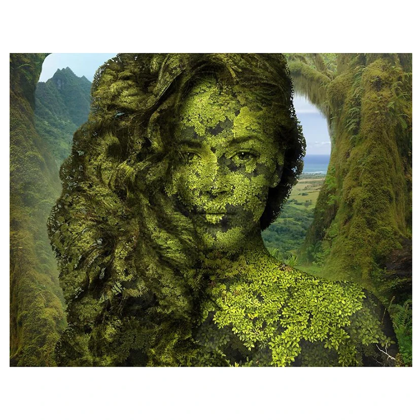 Новое поступление 5D полностью круглая алмазная живопись своими руками лес