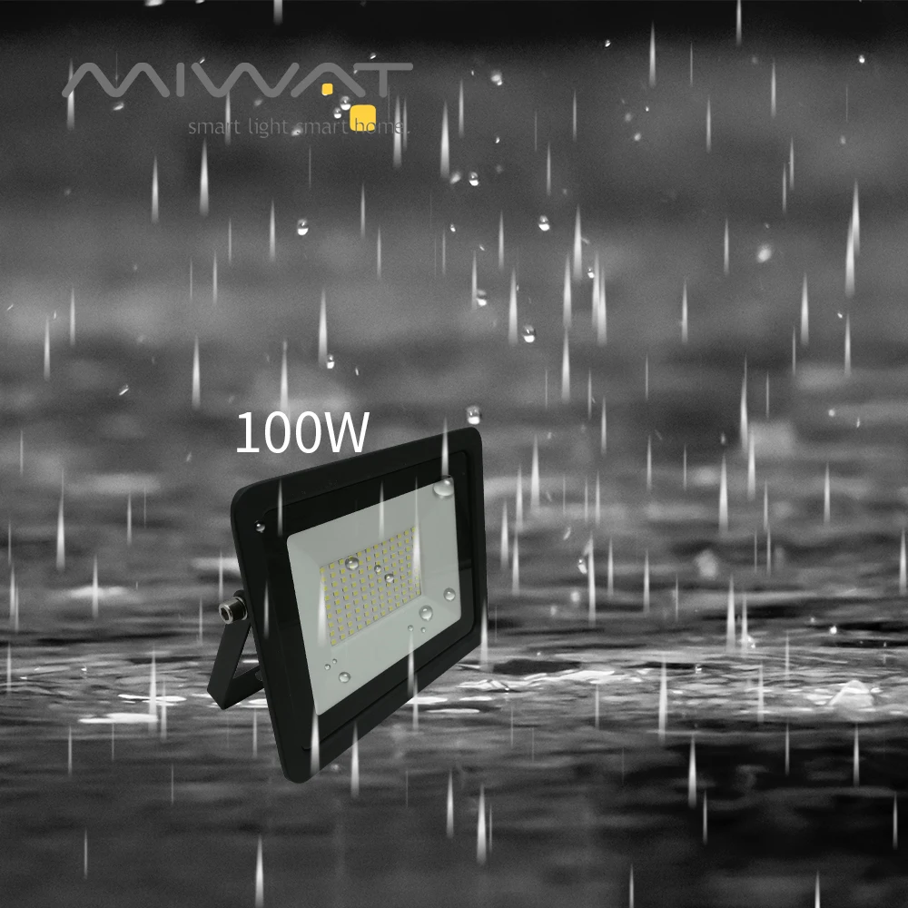 Светодиодный прожсветильник Тор 100 Вт 50 10 20 30 220 В IP68|Прожекторы| |