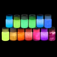 13 colors acrylic paint glow in the dark gold glowing paint luminous pigment fluorescent powder painting for nail art supplies