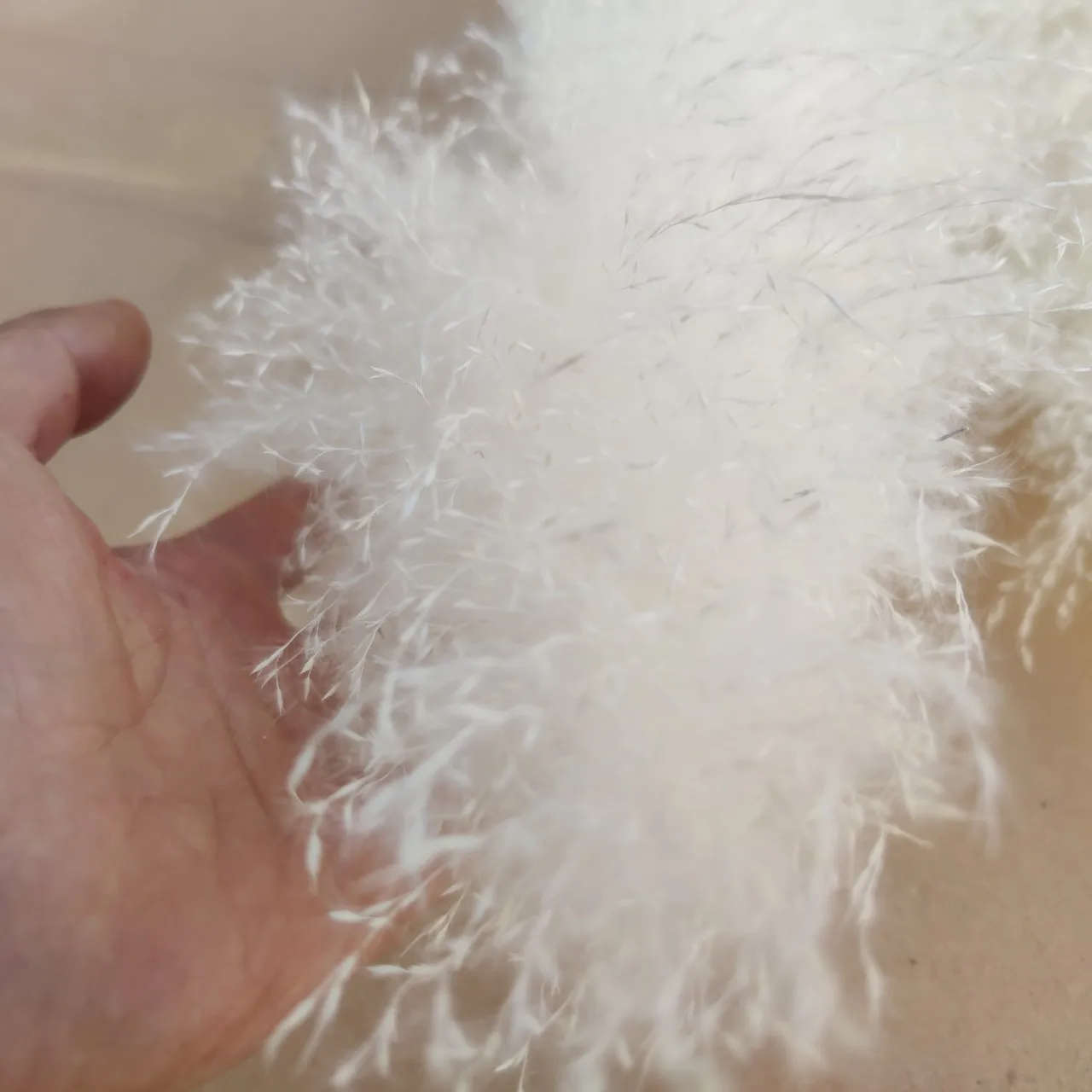 

80cm Dried Flower Pampas Grass Large White Fluffy Pampas Dyeing Wedding Bouquet Home Outdoor Decor High Quality Ground Adornment