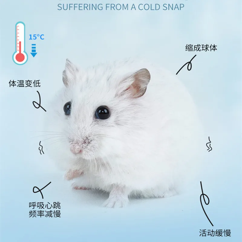 Winter Hamster Cotton Nest Thick Warm Chipmunk Chinchilla Small Animal Cage Landscaping Supplies | Дом и сад
