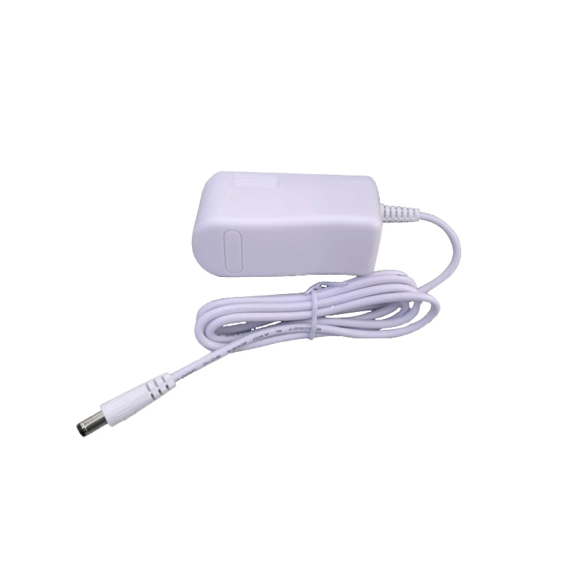 Зарядное устройство с адаптером питания 2 шт. 12 В 1 А | Электроника