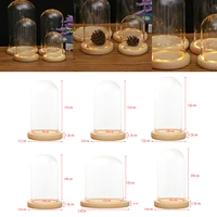 glass display dome wooden base decorative clear glass cloche bell jars display dome for gifts decor