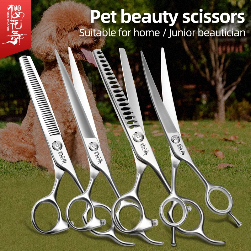 

Pet Scissors Grooming Scissors Straight Shears Curved Shears Thinning Shears Teddy Dog Grooming for Primary Beautician Practice