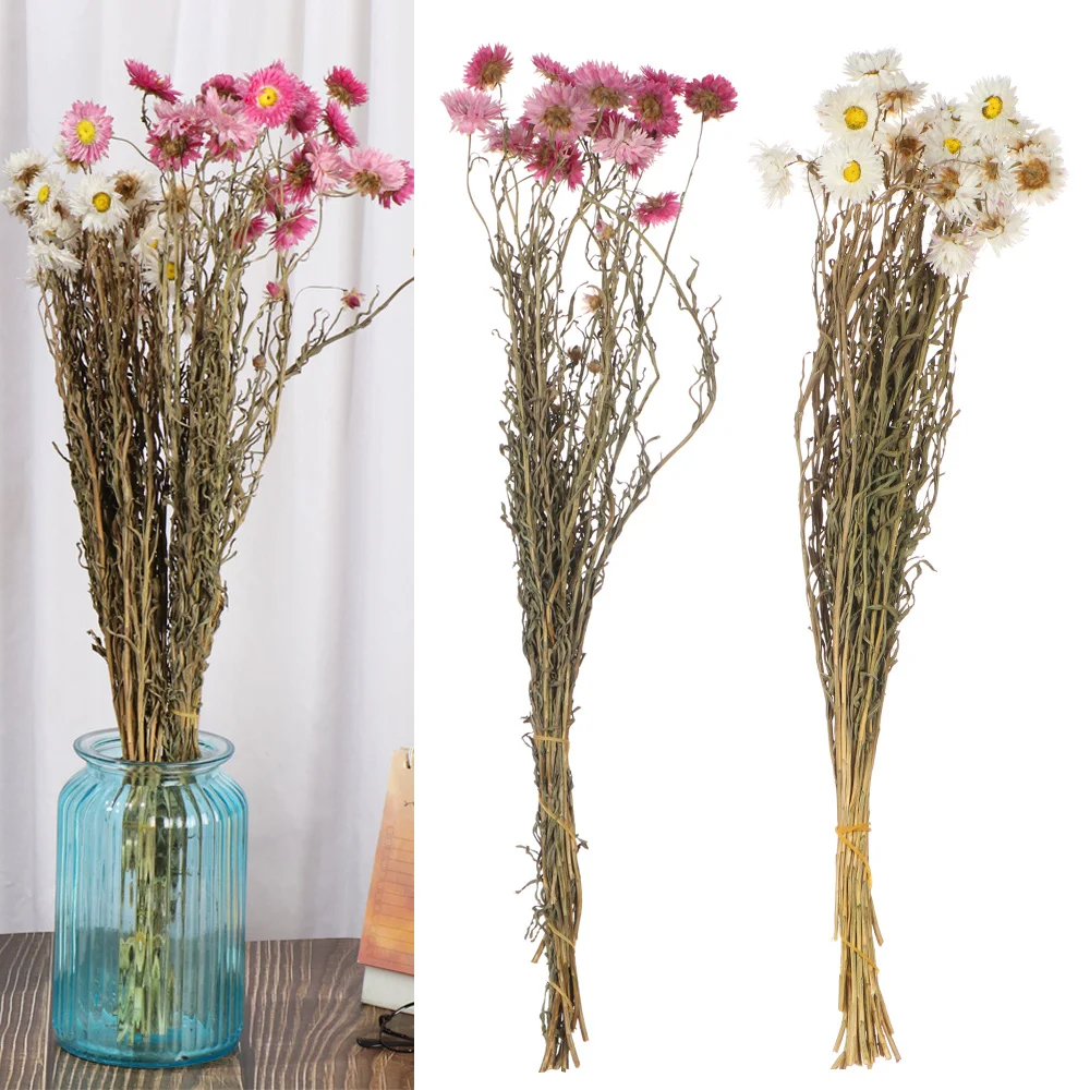 Маленький натуральный сушеный цветок Happy Flower миниатюрный для самостоятельного