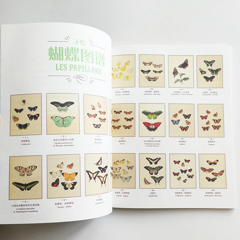 Бабочки-пройдите в музей с раскраской из серии книжки-раскраски для