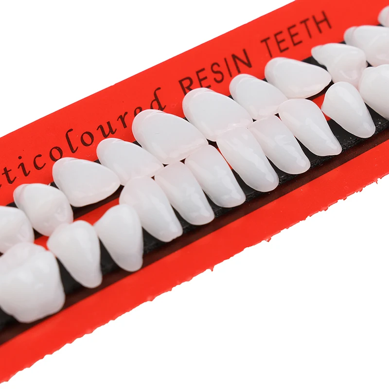 

28Pcs/Set Universal Resin False Teeth Teaching Model Dental Material Teeth