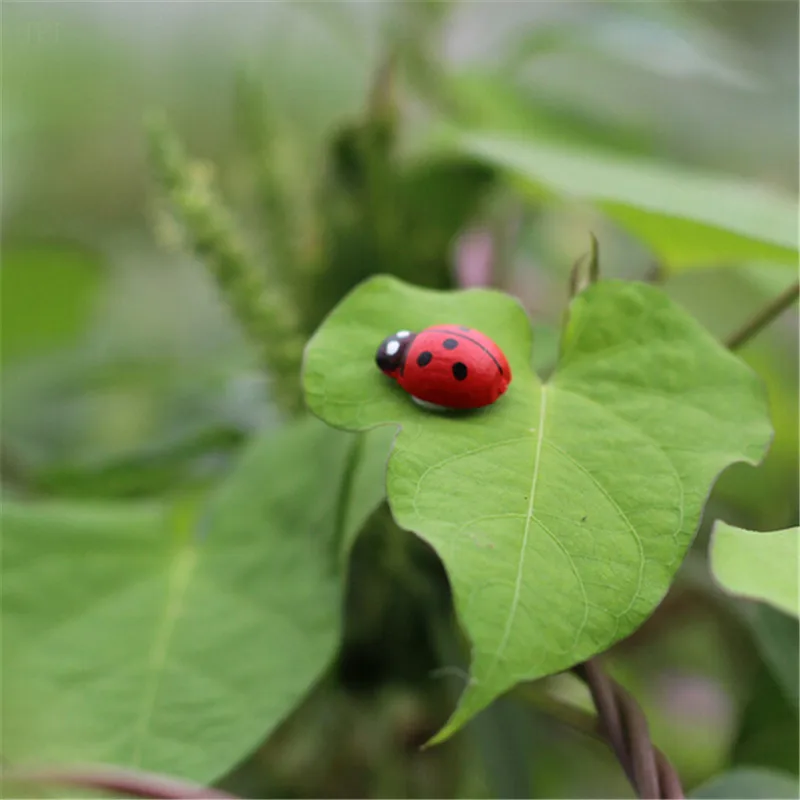 10/20/50/100 pcs/pack Fashion Landscape Mini Ladybug Sponge Self-adhesive Sticker Christmas Decor Fridge Magnets Succulent | Дом и сад