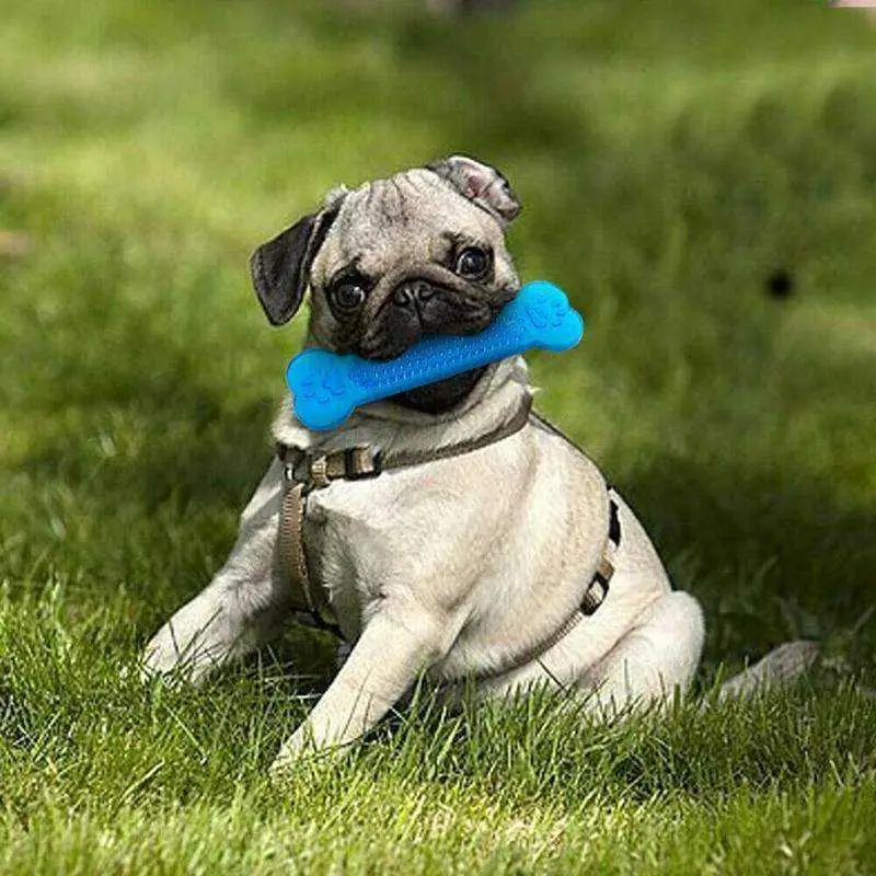 

Durable PVC Transparent Flat Bones for Dog Pet Toys Chewers Bone Toy Doggy Puppy Dental Care for Pet Accessories Puzzle Game