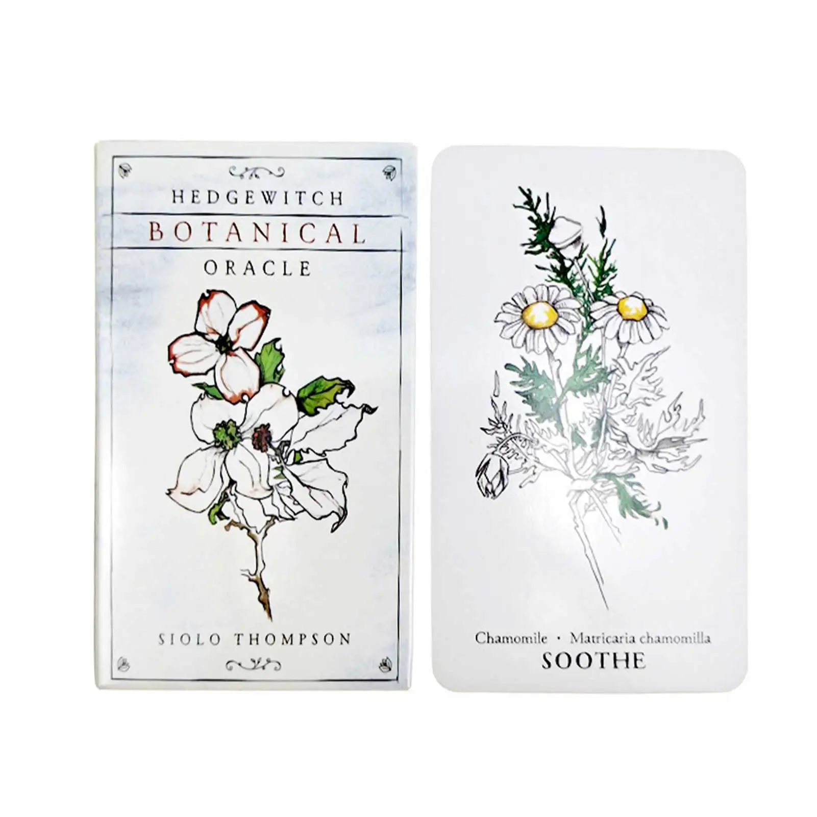 

Tarot Cards For Hedge Witch Botanical Oracle English Board Games Great