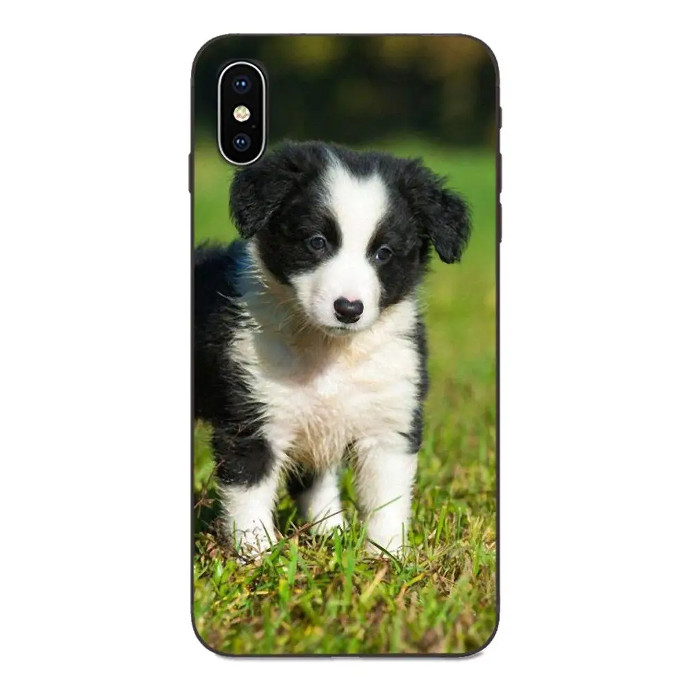 TPU Screen Protector For Galaxy A10S A20S A2 Core A30S A40S A50S A70S A90 5G M10 M30S M40 Note 10 Plus Border Collie Dog | Мобильные