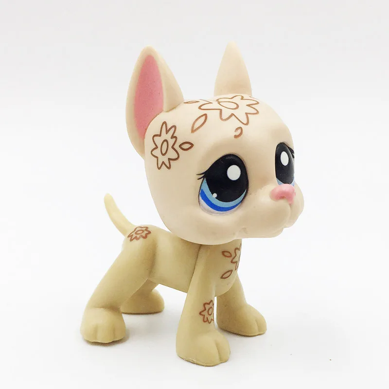 LPS CAT Littlest pet shop милые игрушки отличная фотография мини собака арт цветы с голубыми