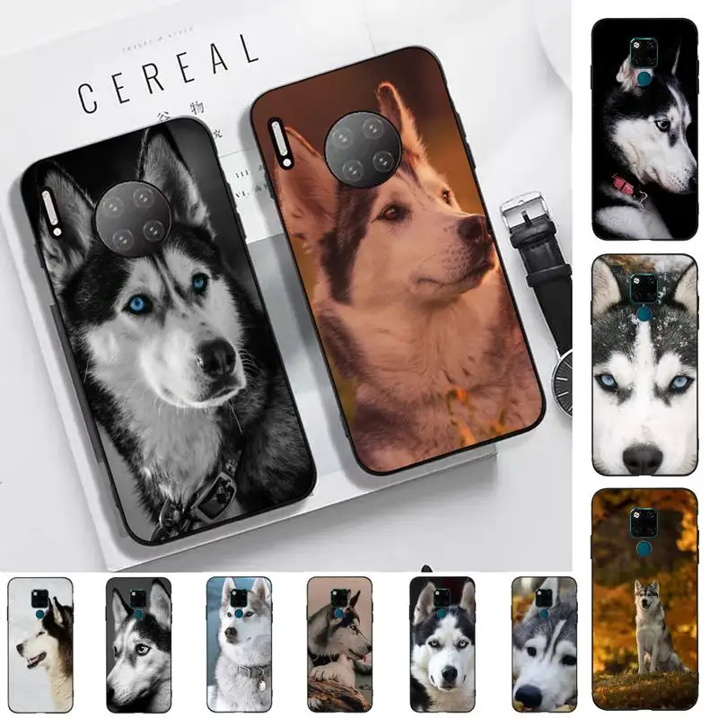 

Yinuoda Animal Husky Dog Puppy Phone Case for Huawei Mate 20 10 9 40 30 lite pro X Nova 2 3i 7se