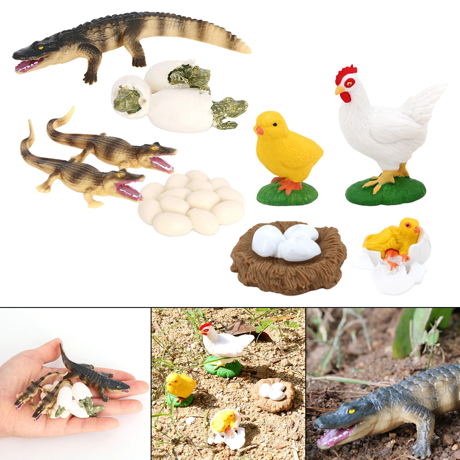 Juego de crecimiento de insectos para el ciclo de la vida, figuras de educaci&oacute;n, juego de rol, fiesta tem&aacute;tica, 2 unidades-1