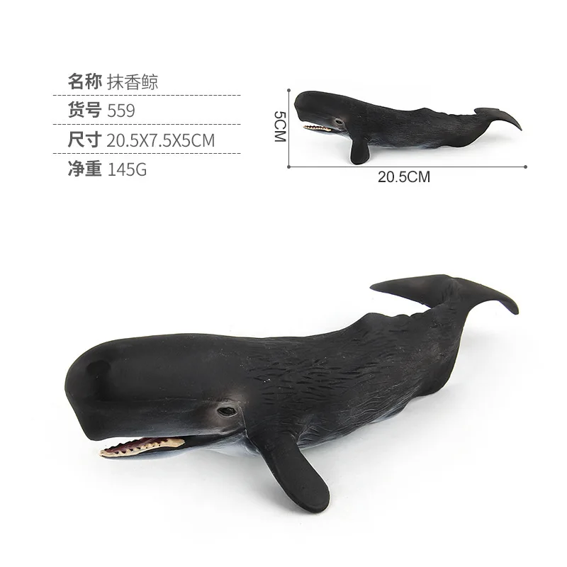 sperm whale 145g Моделирование смолы мускус Белый Кит КИТ синий кит морской Кит животное биологическая модель КИТ серия игрушка детский подарок - Цвет: sperm whale 145g
