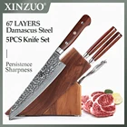 Набор кухонных ножей XINZUO 5 шт., шеф-повар из японской дамасской стали, резец для мяса Gyuto, слайсер сантоку, кухонные инструменты