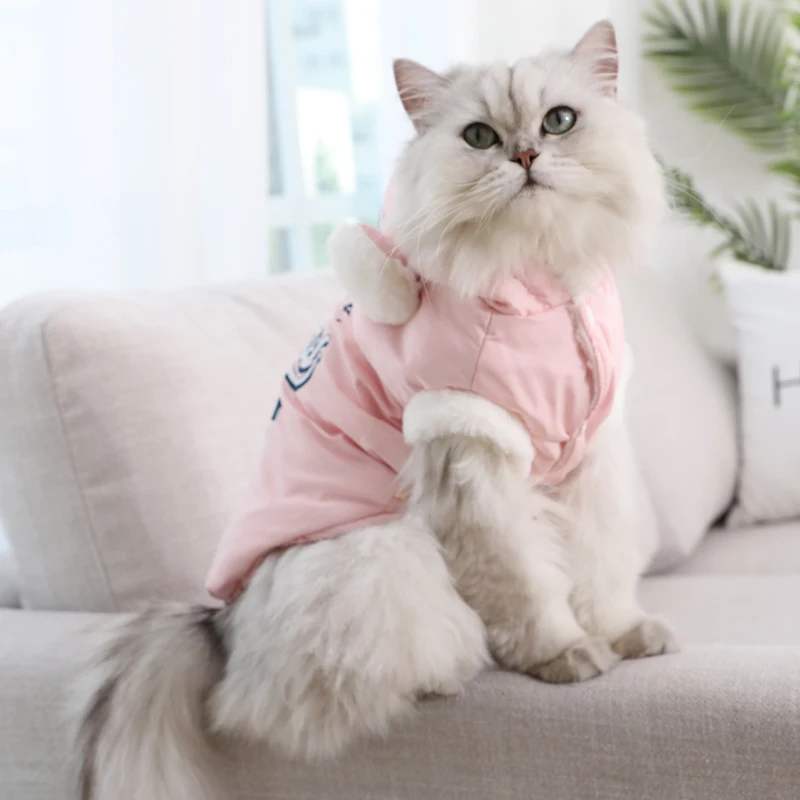 

Cat Clothes Autumn Ragdoll Kittens Vest Winter Thermal Clothes Pet Kitten Blue Cat Autumn and Winter Cat Cotton-Padded Coat