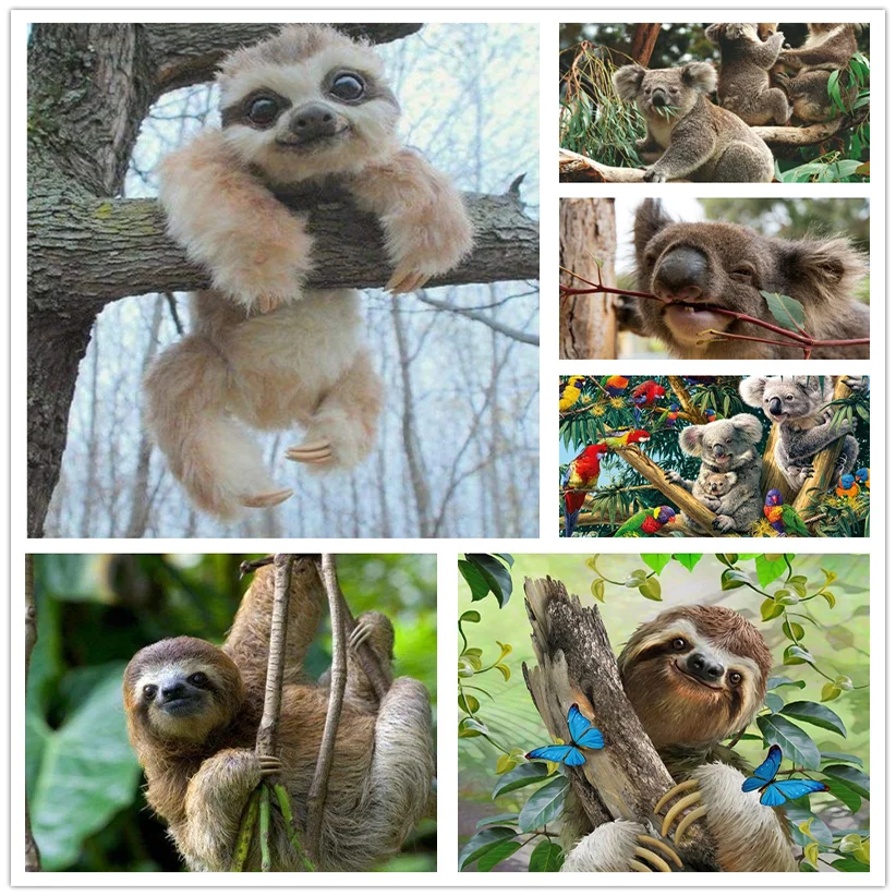 5D полная круглая/квадратная Алмазная картина мультяшный каола медведь животное