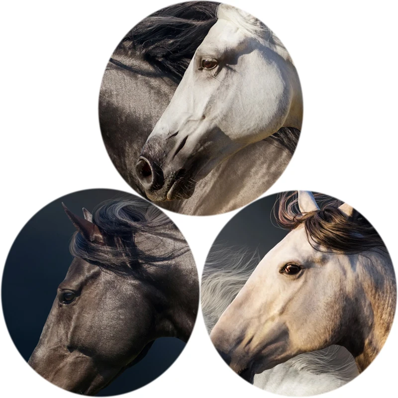 Три бег холст с изображением лошадей арт Животные живопись плакат и принты Quadros