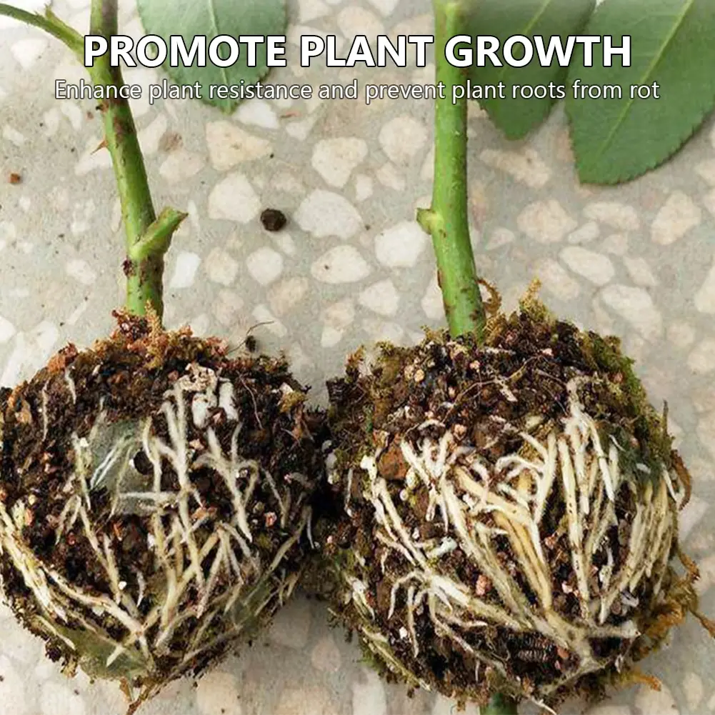 

5PCS Root Growing Box Plant High Pressure Gardening Plant Root Ball Breeding Case for Garden Grafting Rooting Grow Box 5/8cm