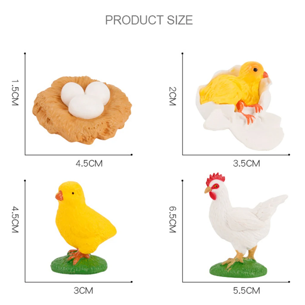 

Kids Child Animals /Turtle Growth Process Toy Models Playkit Gifts