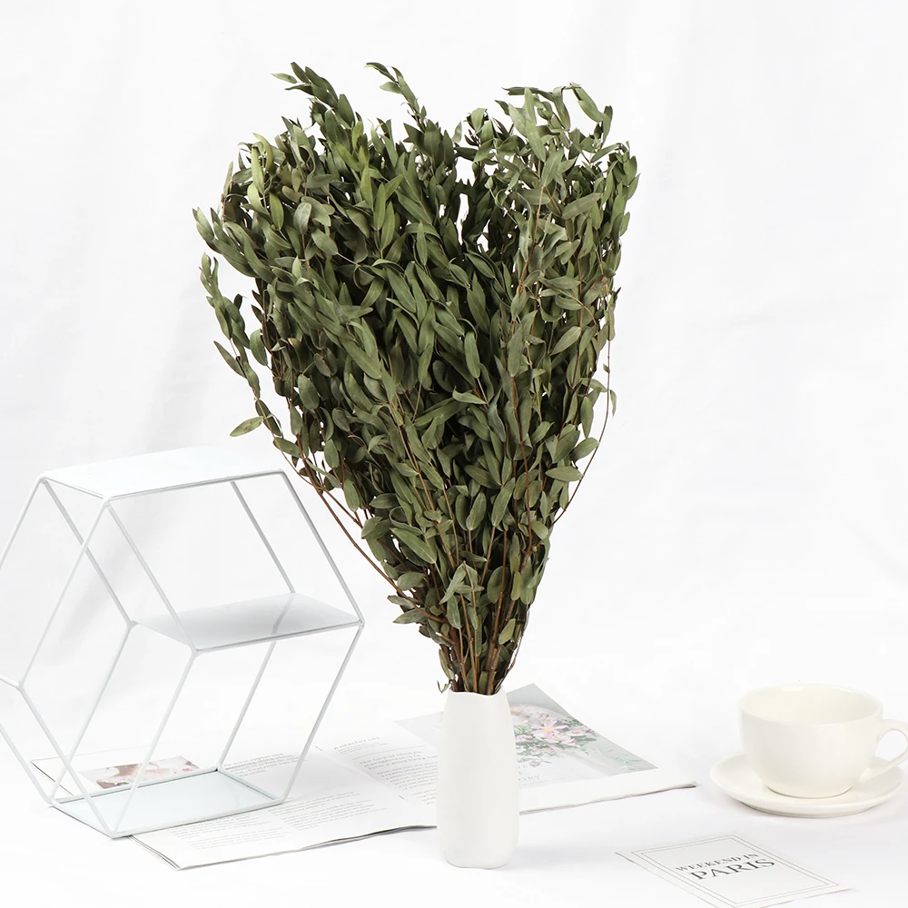 Букет натуральных сушеных эвкалиптов букет из свежих цветов натуральные зеленые