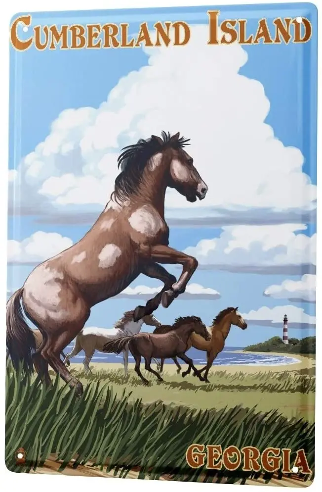 

С 2004 года, оловянный знак, туристическое агентство, лошади, пляж