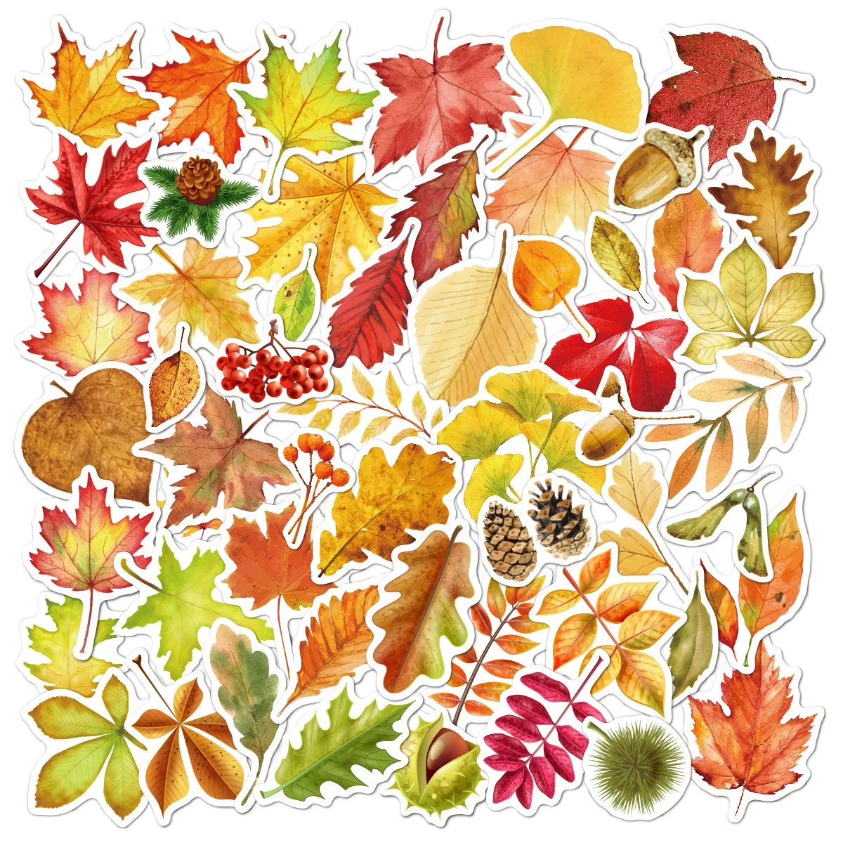 

55pcs leaves autumn leaves graffiti stickers laptop phone case trolley suitcase waterproof maple leaf stickers