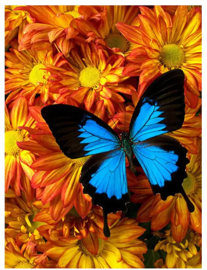 Набор для алмазной живописи в виде бабочки ромашки цветов | Дом и сад