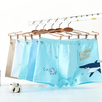 5pcslot boys underwear kids panties pack cute dolphin print boxers for toddler baby fashion teenage underpants shorts 8 to 12 y