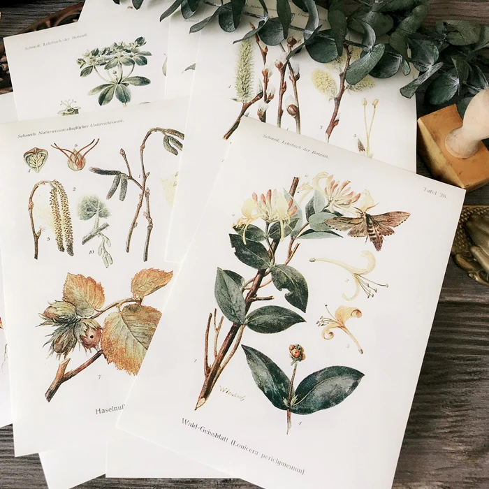 12 шт./упак. Винтаж листья иллюстрации Стикеры DIY ремесло Скрапбукинг альбом