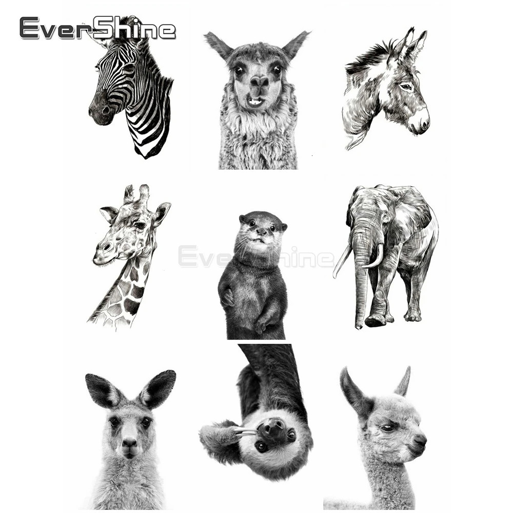 EverShine 5D лмазная вышивка полная выкладка зебра алмазная мозаика картины стразами