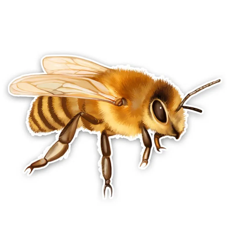 

Hand Painted Cartoon Honeybees Car-Sticker and Decal Cover Scratches Decoration Bumper Bodywork Suv Vinyl Car Accessories15*10cm