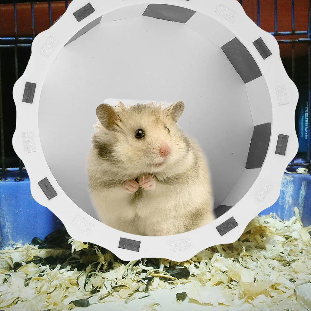 

Hamster Exercise Wheel Quiet Running Wheel Exerciser for Small Pets