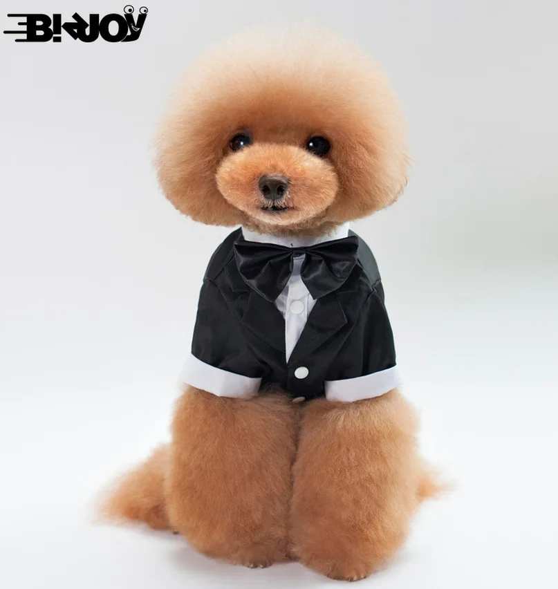 Одежда для домашних питомцев Свадебный костюм милая Тедди джентльмен чихуахуа