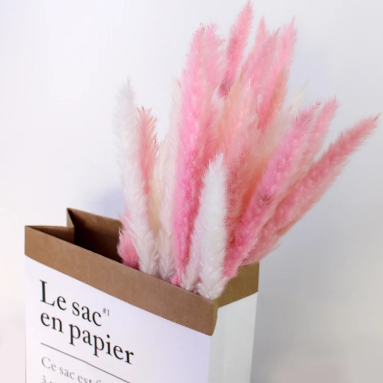 

Yongsheng Flower Small Reed Ins Romantic Style Pu Wei Dried Flower Bouquet Cafe Home Furnishings Shooting Props