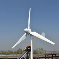 homeuse 300w 3kw 48v 96v 120v 220v horizontal axis wind turbine generator with on tie grid off grid controller free energy
