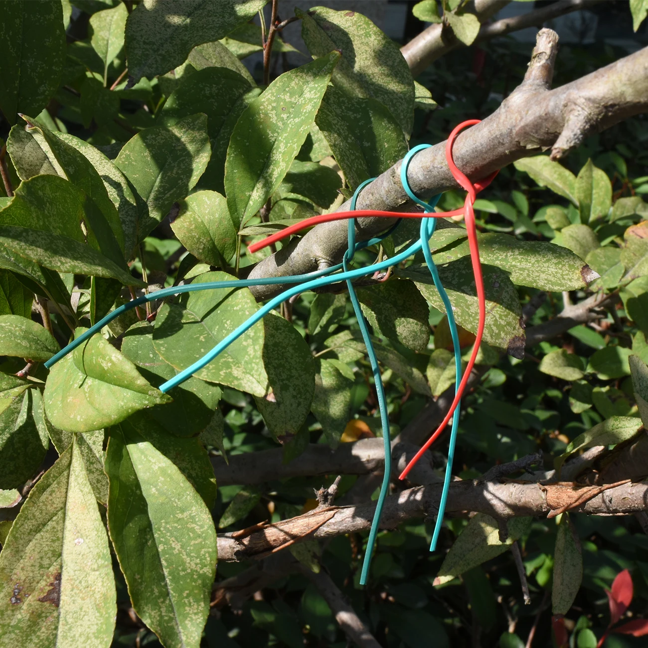 100PCS Gardening Iron Wire Twist Tie for Flower Plant Fix Strings Coated Cable Ties Reusable Oblate Climbing Vines Multifunction - купить по