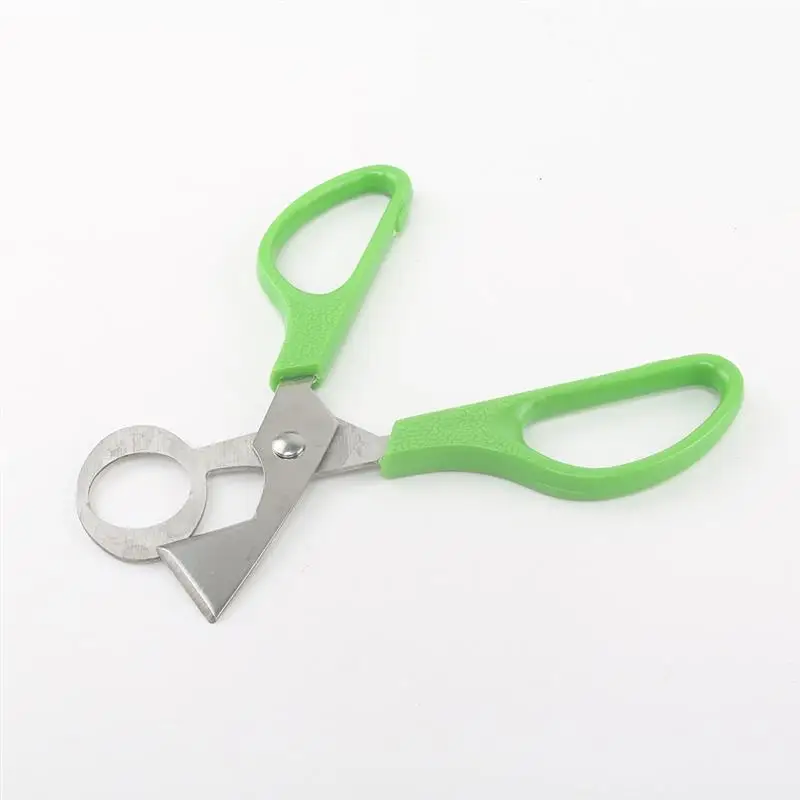 

Ножницы для птиц, кухонный инструмент для стрижки голубей, перепелов, лезвие из нержавеющей стали