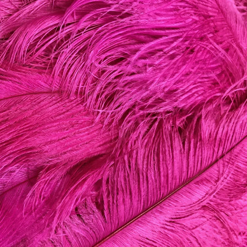 10pcs/lot 15-70CM Rose Red Ostrich Feather Costume Wedding Decoration Feathers Supplies Carnival Dancer Plumage | Дом и сад