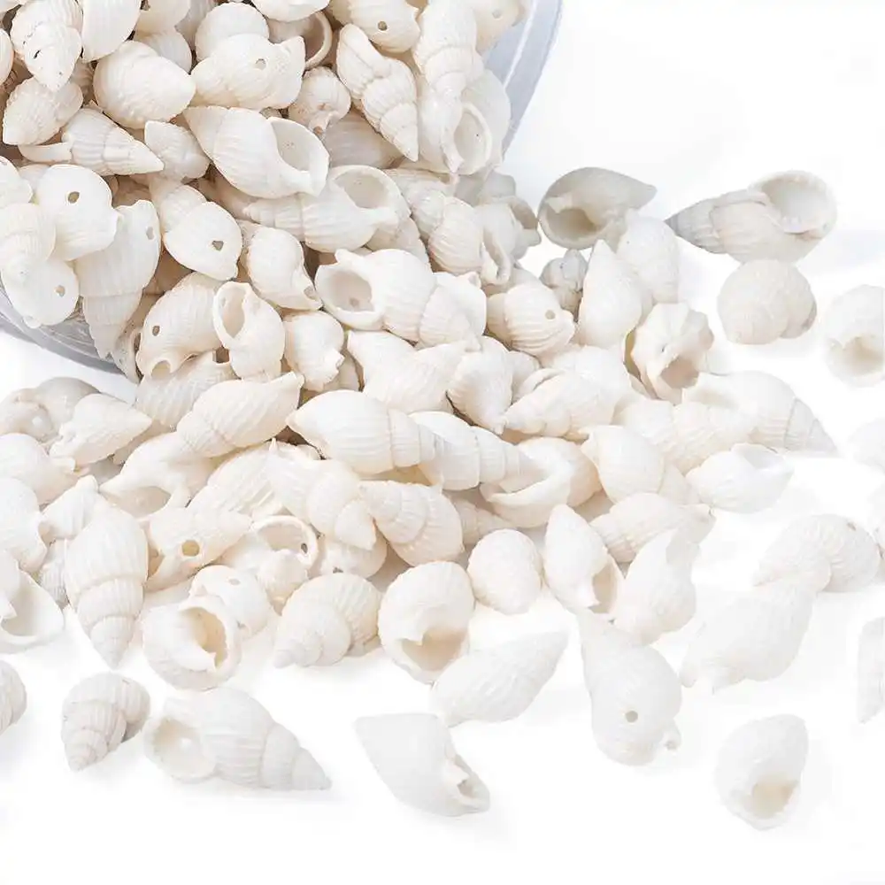 1 коробка Cowrie Морская ракушка овальные бусины Океанский пляж спиральные ракушки