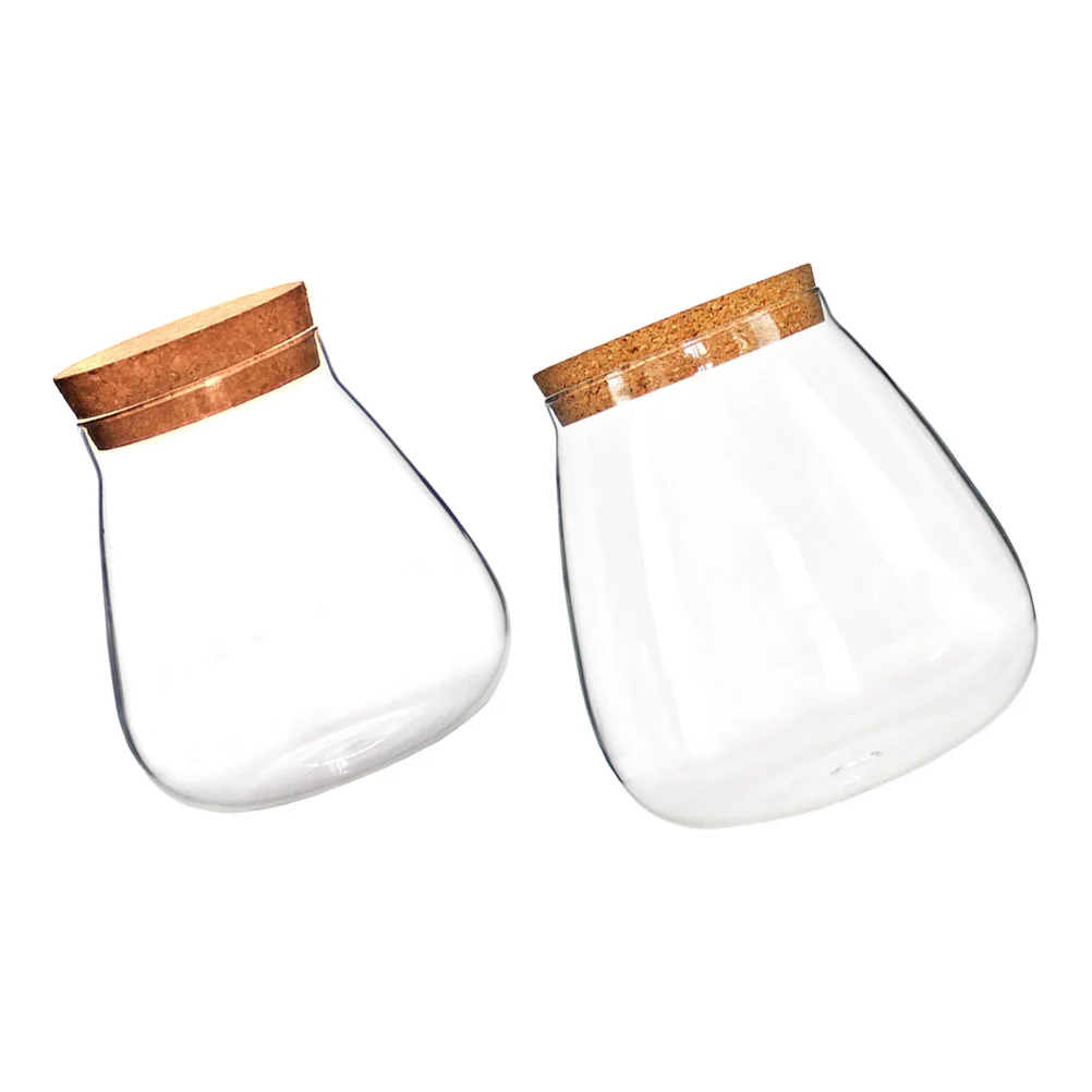 

2 шт., декоративные прозрачные бутылки для растений